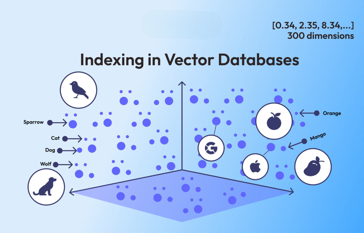 Vector Database là gì? Hướng dẫn lưu trữ Dữ liệu vào Vector Database ...